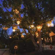 Maybe you would like to learn more about one of these? Photo Of Chandelier Tree Los Angeles Ca United States The Chandelier Tree Chandelier Tree Photo Tree Tree Chandelier