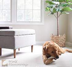 Pin Auf Living Room Life