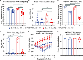 Libro de español 6 grado contestado pag 132 / á ˆ. A Single Intranasal Or Intramuscular Immunization With Chimpanzee Adenovirus Vectored Sars Cov 2 Vaccine Protects Against Pneumonia In Hamsters Biorxiv