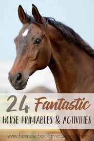 24 fantastic horse printables activities homeschool giveaways