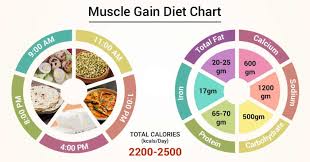Diet Chart For Muscle Gain Patient Muscle Gain Diet Chart