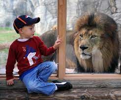 Snapshots Of The Week Animals Zoo Photos Cat Mom