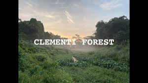 Clementi forest used to be a random, if somewhat forgettable, patch of greenery you'd pass by on a bus ride between clementi and bukit timah. Save Our Clementi Forest Youtube