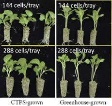 The plant cell is the functional unit of life. Garden Patio 18 X 28 Cell Plant Plug Trays Bedding Seedling Used Ex Commercial Horticulture Plant Care Soil Accessories