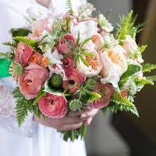 Maybe you would like to learn more about one of these? Bluebells Bluebellsva Profile Pinterest