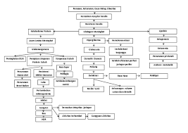 Diabetes mellitus tipe ii adalah penyakit hiperglikemia akibat insensitivitas sel terhadap insulin. Pathway Dm
