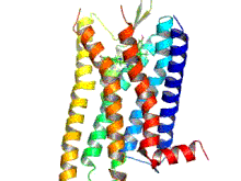 The only difference is that he is not an edo. Opioid Receptor Wikipedia