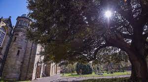 Notably, changing your background on microsoft teams is only available if you're not a linux user, and you're not using teams through a vdi (virtual desktop infrastructure). Microsoft Teams Backgrounds It Support University Of St Andrews