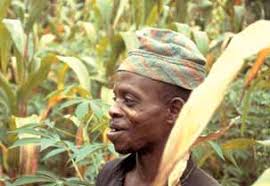 IITA Annual Report 2005