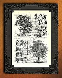 Amazon Com Tree Artwork Victorian Oak Art Print Black