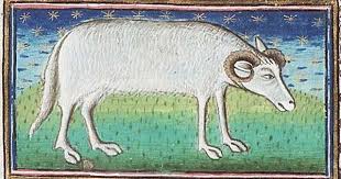 Ten Strange Medieval Animals You Might Not Have Heard Of Medievalists Net Medieval Paintings Medieval Drawings Medieval Art