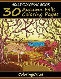 There's something for everyone from beginners to the advanced. Adult Coloring Book 30 Autumn Falls Coloring Pages Coloring Books For Adults Series By Coloringcraze Colorful Seasons Coloringcraze 9781521172292 Amazon Com Books