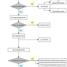 Flow Chart On Cases Of Allopurinol Exposure And Pregnancy