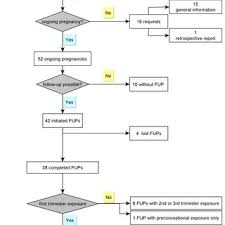 flow chart on cases of allopurinol exposure and pregnancy