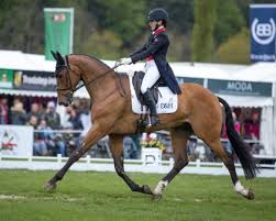 Laura everly of corbin, kentucky (40701), who received a bachelor of science in chemical physics. Event Rider Masters
