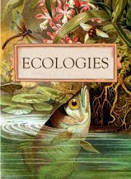 Check spelling or type a new query. Ecologies Card Games