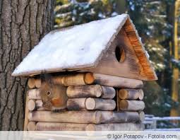 Nach einem harten winter oder einer langen reise zurück aus dem süden, freuen sich die vögel, wenn sie möglichst schnell einen nistplatz finden. Eichhornchenhaus Selber Bauen Und Richtig Aufhangen Hausgarten Net