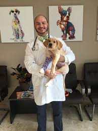 Looking for all pets hospital pet care & boarding? South Baton Rouge Animal Hospital Gift Card Baton Rouge La Giftly