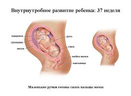 Osobennosti Techeniya Tridcat Sedmoj Nedeli Beremennosti Kak Sebya Chuvstvuyut Mama I Malysh Oficialnyj Sajt Gbuz Rodilnyj Dom 2 G Magnitogorsk