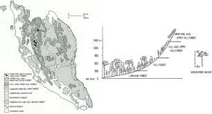 Abon construction is a multinational engineering and construction firm headquartered in malaysia it is a holding company that the staff at abon construction come from unusually diverse demographic backgrounds. Linking Forest Naturalness And Human Wellbeing A Study On Public S Experiential Connection To Remnant Forests Within A Highly Urbanized Region In Malaysia Sciencedirect