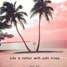 I picture myself right there, on some beach taylor negron. Pin By Lisa Hellmers On Beach Quotes Palm Trees Palm Tree Quotes Beach