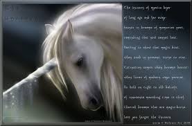 Unicorn Poems And Quotes Quotesgram Unicorn Books Unicorn Quotes Poems Beautiful