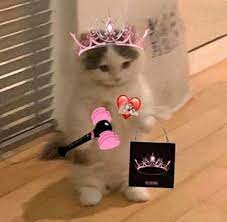 Check spelling or type a new query. Samuá´¸Ë¢ S Tweet Yo En Estos Momentos Espero Que Si Llegue A Colombia Blackpink The Movie Premiosmtvmiaw Mtvlafandomblinks Mtvlakpoprose Blackpink Trendsmap