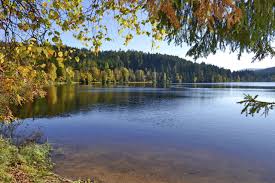Windgfallweiher Hochschwarzwald Schwarzwald Tourismus