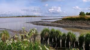 Wir bieten euch neben einem vielfältigen sportangebot für jung und alt auch eine tolle gemeinschaft! Ditzum Jemgum