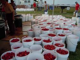 Mattituck Strawberry Festival Long Island Ny Long Island Holistic Dentist