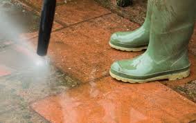 Enlever La Mousse Et Lichen Quel Anti Mousse Naturel Tout Pratique Anti Mousse Naturel Mousse Anti Mousse Terrasse