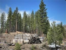 Russell Valley Homestead