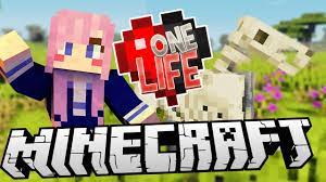 One of lizzie's new additions to her channel, the series 'one life' is a challenge series where she and her friends are. One Life Ldshadowlady Wiki Fandom
