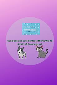 Using pytorch with django to distinguish cats from dogs by fine tuning pretrained model. Articles Archives Furry Footsteps Professional Dog Walking And Pet Sitting In Ypsilanti Mi