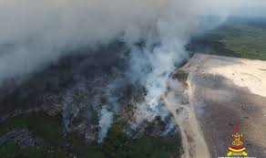80 hektar hutan simpan Kuala Langat ...