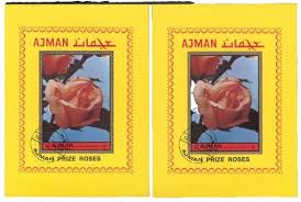 Image result for Pavetta rwandensis