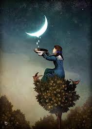 pin on moondance