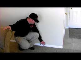 Find termite control near you from a provider that has expert knowledge and experience in treating homes for termite problems. Termite Control Signs That A Home Has Termites Youtube