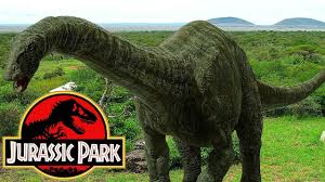 They were some of the largest land animals that ever existed, about 4.5 meters (15 feet) tall at the hips, with a length of up to 21 meters (70 feet). The History Of The Apatosaurus In The Jurassic Park Franchise Youtube