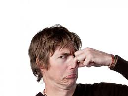 Effektive Geruchsbeseitigung im Auto