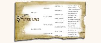 Steskal Quarter Horses -Tiger Leo