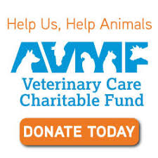 We provide wellness care for pets in the manchester, nh area. Advanced Veterinary Hospital Veterinarians In Sumter Sc