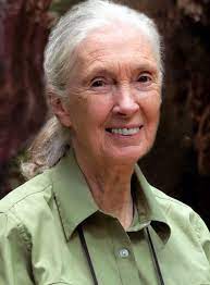 Jane Goodall