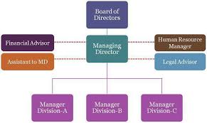 Small Hotel Organizational Online Charts Collection
