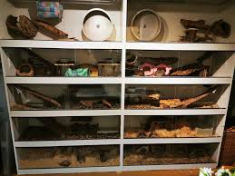 Und da ich leider nicht das geld habe um ein aqua oder terra zu kaufen und es bei ebay oder so meist nur welche gibt die man selber abholen muss. Kafig Degus