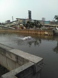 Sungai ini terbentuk pada muara sungai paranaiba dan grande di brasil selatan. File Cabang Muara Timur Sungai Ciliwung Jpg Wikimedia Commons