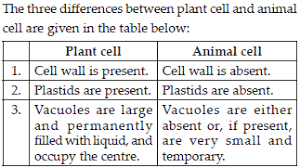 Check spelling or type a new query. What 3 Differences Between Plant And Animal Cells