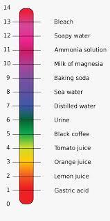 Calcium Carbonate On Ph Scale Hd Png Download Transparent Png Image Pngitem