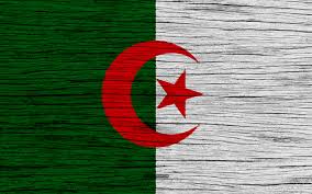 download wallpapers flag of algeria 4k africa wooden texture algerian flag national symbols algeria flag art algeria besthqwallpapers com algeria flag algerian flag flag