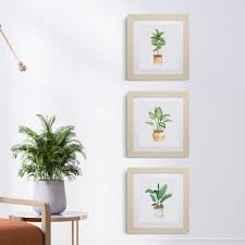 Bunga kelelawar hitam (black bat flower). Hiasan Dinding Tanaman Hias Dekorasi Dinding Lukisan Tanaman Frame Kaca Shopee Indonesia